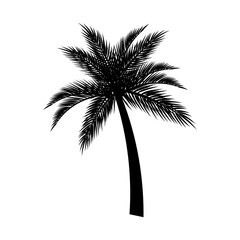 Obraz premium Palm tree silhouette illustration on white background