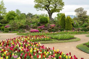 순천만국가정원 4월의 꽃밭