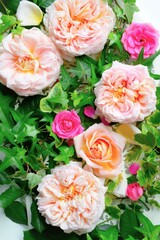 薔薇とアイビーの背景、バラと植物、ばら、フレーム、バナー、ヘッダー、フラワーアレンジメント、バラのアレンジ
