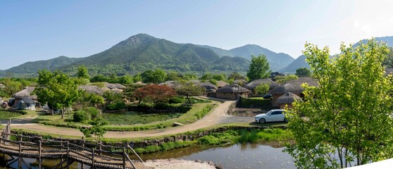 연두색 감 잎이 아름다운 순천낙안민속마을의 5월 풍경