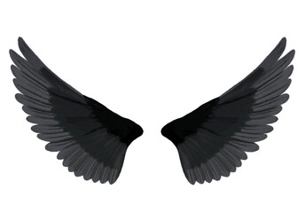 両翼（ブラック）