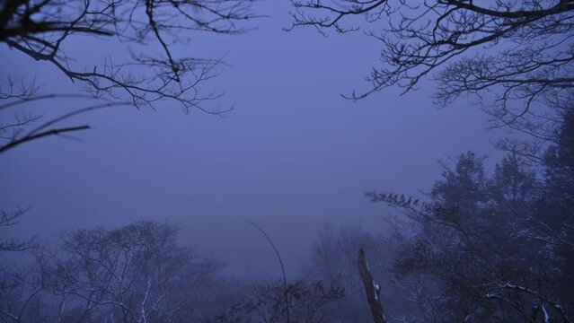 冬のお山の日暮れ