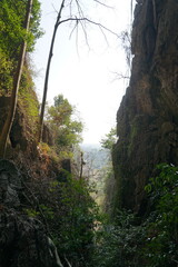 A narrow path between two cliffs with trees on either side