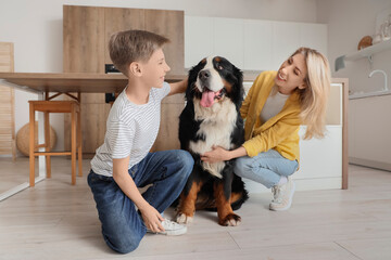 Little boy and his mother with Bernese mountain dog in kitchen