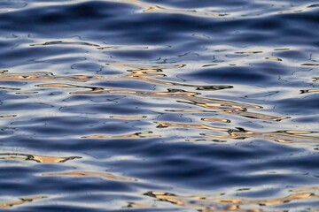 夕日を浴びて輝く水面の情景
