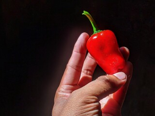 hand holding fresh red chilies