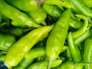 Green peppers. Natural fresh pepper chili heap or group