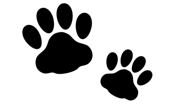 跳ねる猫・犬の足あとイラスト映像素材