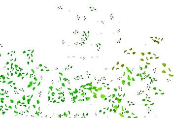 Light Green, Yellow vector backdrop with abstract shapes.