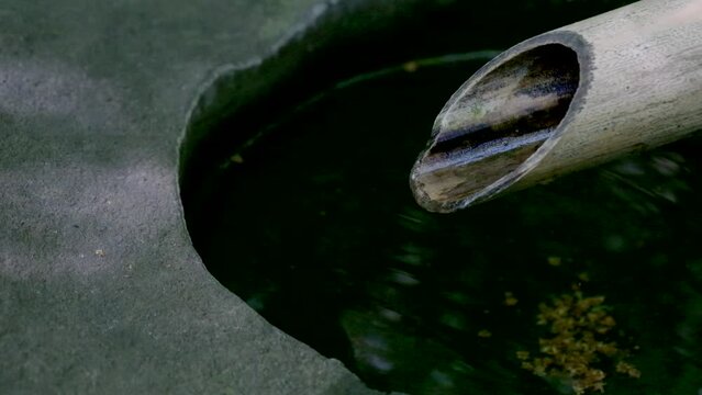 日本庭園　木々の緑を反射した甕に溜まった雨水の波紋と揺らぎ　鹿威しから滴る雨水の滴