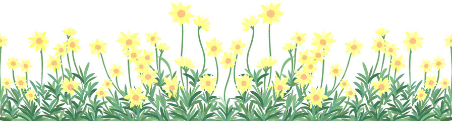yellow flowers border