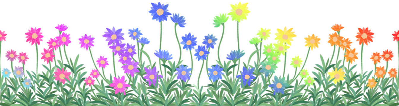 rainbow colors flowers border 