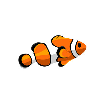 nemo giru fish vector illustration