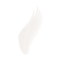 white wings