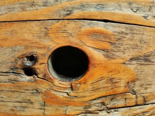 Fototapeta premium Wood textur. Close-up of the wood grain pattern and texture on a piece of wood 