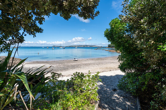 Beach cove on the bird sanctuary island, Tiritiri Matangi, Auckland, New Zealand.