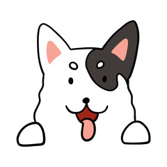 Different type of vector cartoon dog faces for design.