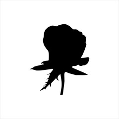 Single rose silhouette isolated on white background. Rose icon vector illustration.