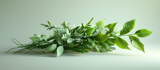 Artfully Arranged Japanese Herb Bouquet for Wellness and Lifestyle Imagery