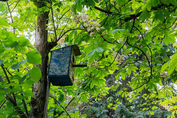 A blue birdhouse is hanging from tree branch