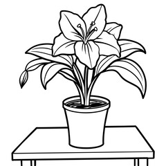 Obraz premium Amaryllis Flower outline illustration coloring book page design, Amaryllis Flower black and white line art drawing coloring book pages for children and adults 