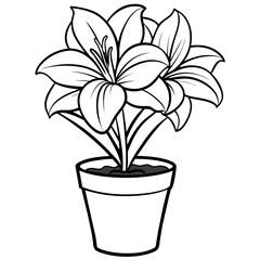 Amaryllis Flower outline illustration coloring book page design, Amaryllis Flower black and white line art drawing coloring book pages for children and adults
