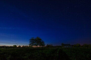 Naklejka premium Night sky with stars and silhouette of a tree with house in distance
