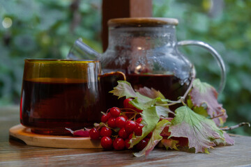 Guelder rose Viburnum red berries tea still life on table in green garden background. Healthy hot drink benefits. Natural organic aromatic drink in cup. Home-grown immunity-boosting herbs for tea