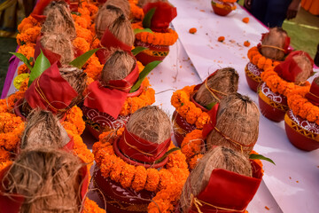 Kalash with coconut and mango leaf with floral decoration earthen pots containing sacred water. Kalash for hindu puja during Jagannath Temple Mangal Kalash Yatra, front view, closeup