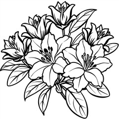 Fototapeta premium Azalea flower outline illustration coloring book page design, Azalea flower black and white line art drawing coloring book pages for children and adults 