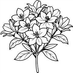 Azalea flower outline illustration coloring book page design, Azalea flower black and white line art drawing coloring book pages for children and adults
