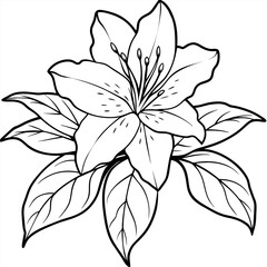 Fototapeta premium Azalea flower outline illustration coloring book page design, Azalea flower black and white line art drawing coloring book pages for children and adults 