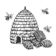 Set of bee, honeycombs and hive vintage monochrome drawing. Hand drawn bee house apiary concept in engraving graphic. Beekeeping and organic bio food production design elements. Monochrome vector