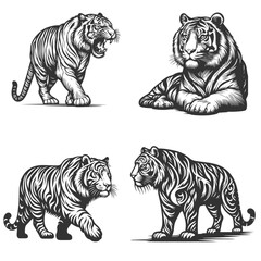Beautiful Tiger set vector silhouette isolated on white background
