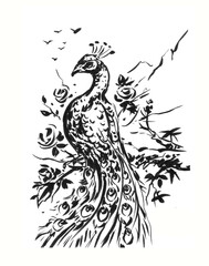 illustration of a peacock pen drawing for card decoration illustration