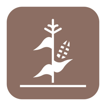 recommend clip art: Cornstalks icon vector image. Can be used for Festa Junina.