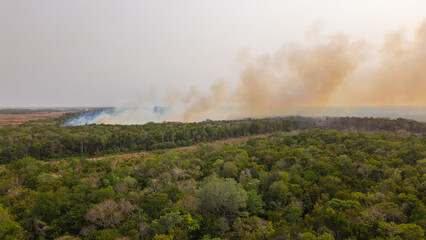 catástrofe del medio ambiente incendio de un bosque en centro América Belice árboles...