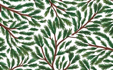 Cypress tree branches and seeds pattern. Isolated white background