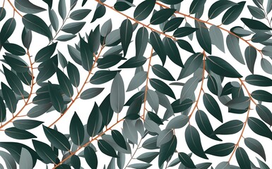 Eucalyptus tree leaves pattern. Isolated white background