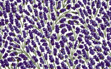 Lavender flower pattern.