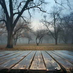 Wooden table on the background of the evening foggy park 