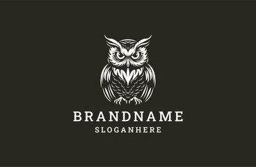 Obraz premium Owl logo template vector illustration design