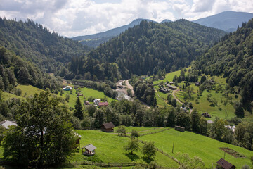 Mysticism and mystery of the Ukrainian Carpathian forest