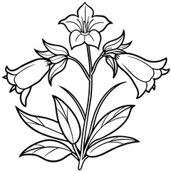 Canterbury Bells flower outline illustration coloring book page design, Canterbury Bells flower black and white line art drawing coloring book pages for children and adults
