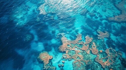 Aerial view of the Great Barrier Reef in Australia, featuring the extensive coral formations and vibrant marine life in the clear turquoise waters.     
