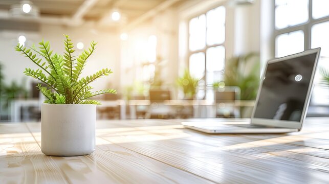 Cozy Home Office Scene with Nature and Technology