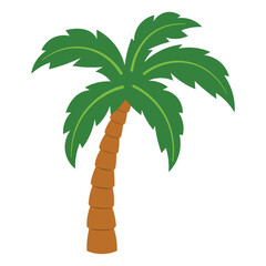 Palm Tree © MG Creations