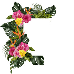 Watercolor hand draw floral frame with wild tropical leaves and exotic flowers, hibiscus, monstera and frangipani, isolated on transparent background
