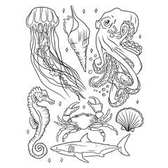 hand drawn sketch of fish