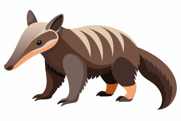 anteater cartoon vector illustration